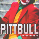 PiTTBuLL