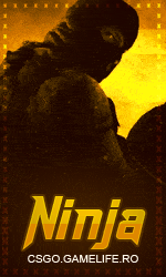 Ninja