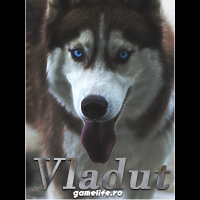 Vladut