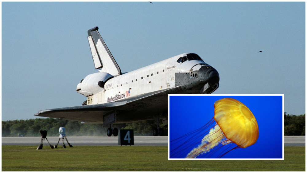 rssImage-a0f22711977e15eccc9092e6352a5e17.png
