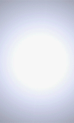 Echo