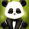 Panda Drex